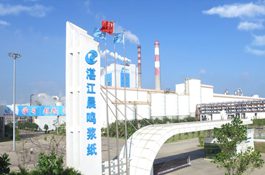 湛江晨鸣浆纸